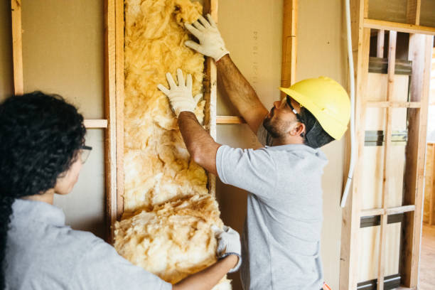 Best Wall Insulation Installation  in Hoover, AL